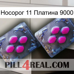 Носорог 11 Платина 9000 01